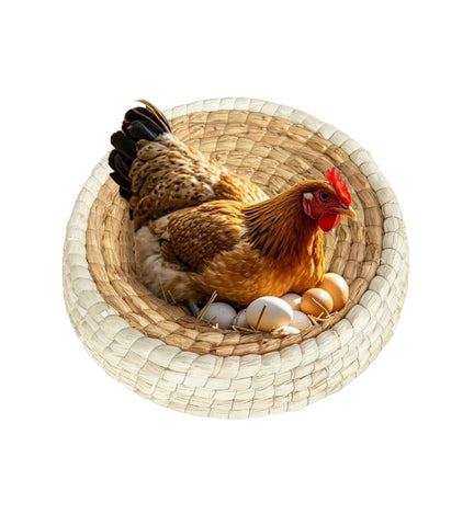 Clean nesting space with Toolzeen nest pad in coop scene.