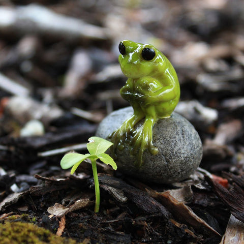 Top Collection hand-painted fairy garden detail highlights tiny sculpting and color.