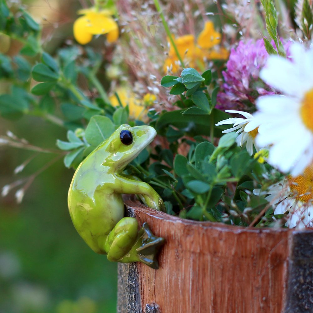 Top Collection frog flower pot hugger mini accents terrariums and shelves.