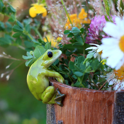 Top Collection frog flower pot hugger mini accents terrariums and shelves.
