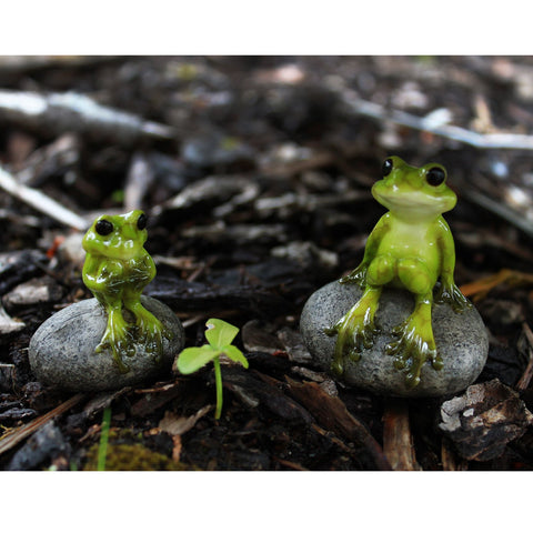 Top Collection outdoor display ready piece for terrariums and gardens.