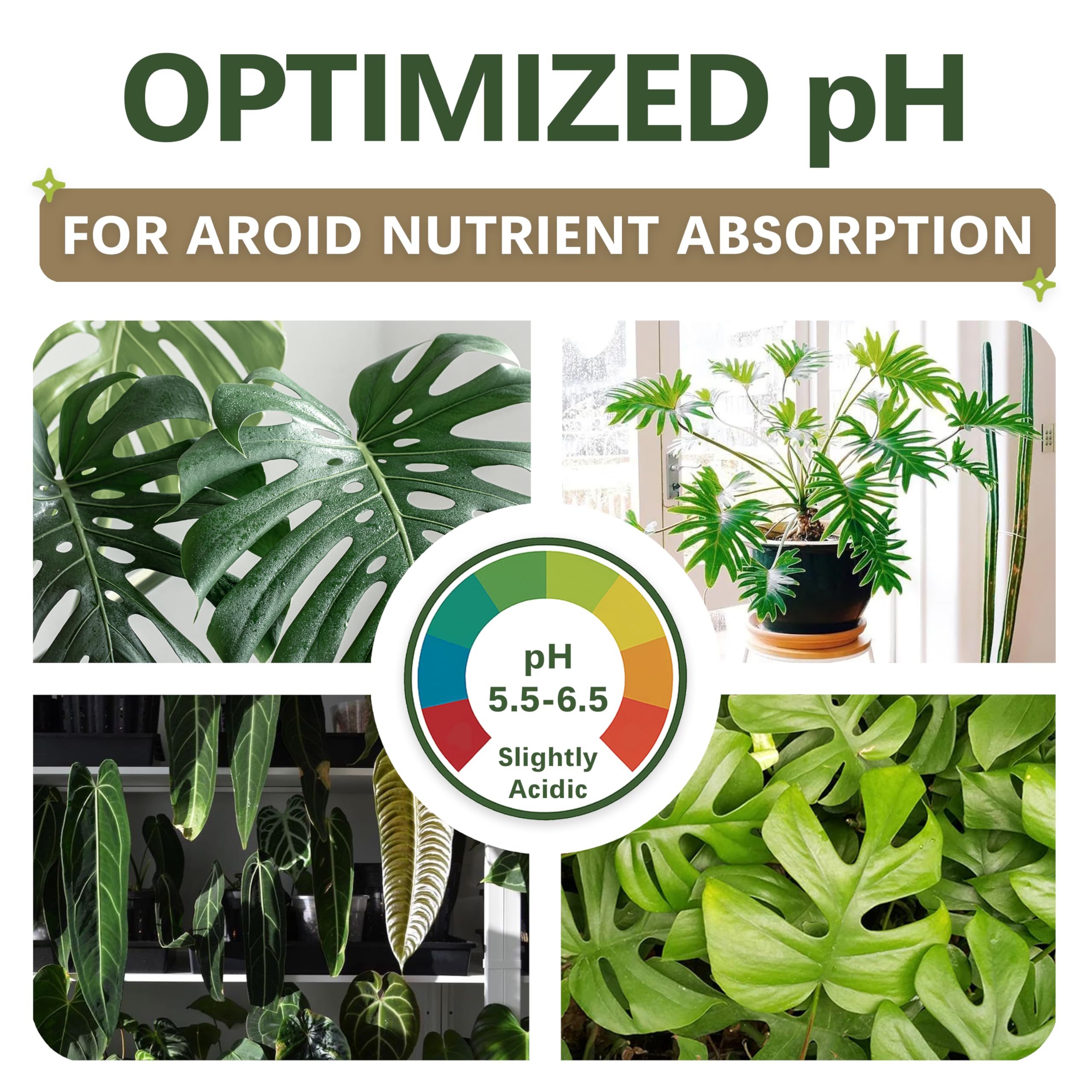 Top Tier Genetics AROID Potting Mix root system close-up demonstrates healthy structure and growth potential