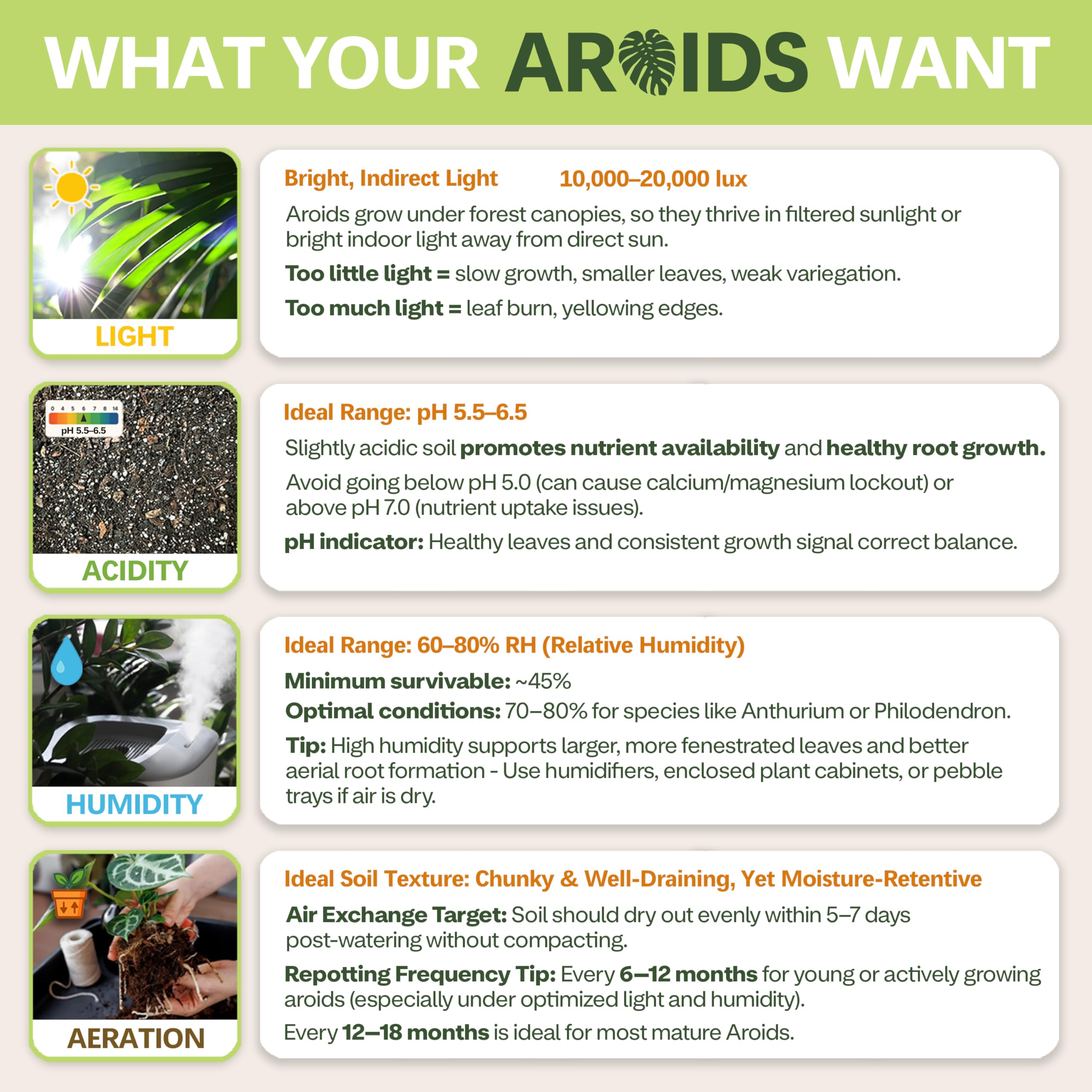 Top Tier Genetics AROID Potting Mix biochar boosts long-term soil health and microbial life