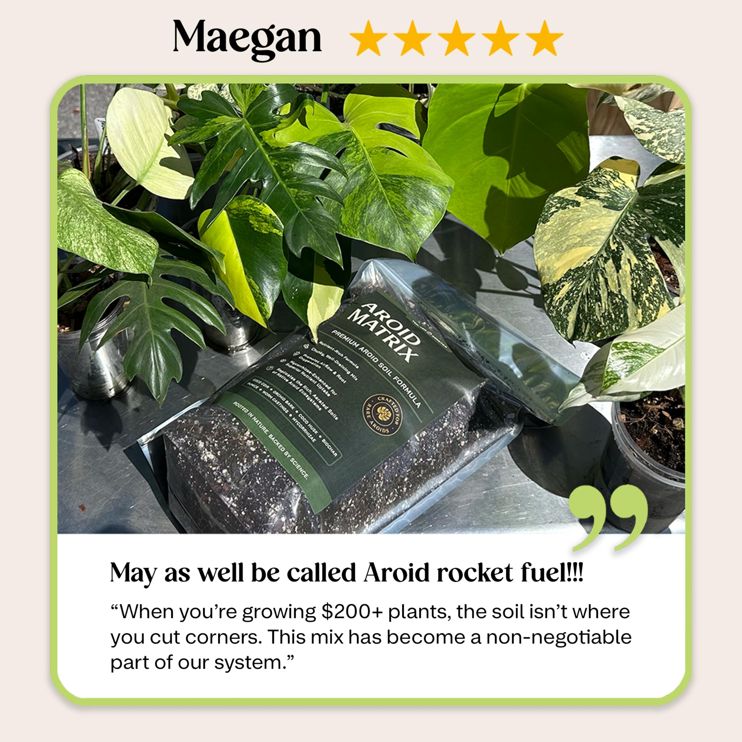 Top Tier Genetics AROID Potting Mix coco coir balances moisture for even hydration