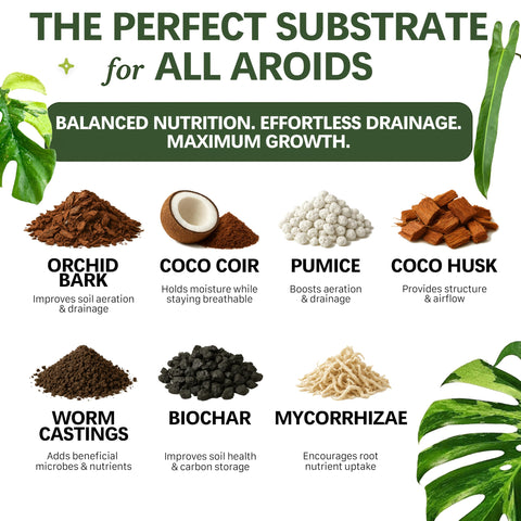 Top Tier Genetics AROID Potting Mix close-up highlights orchid bark and coco coir for drainage
