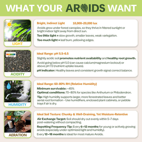 Top Tier Genetics worm castings and mycorrhizae enrich the blend for microbial life and steady nutrition.