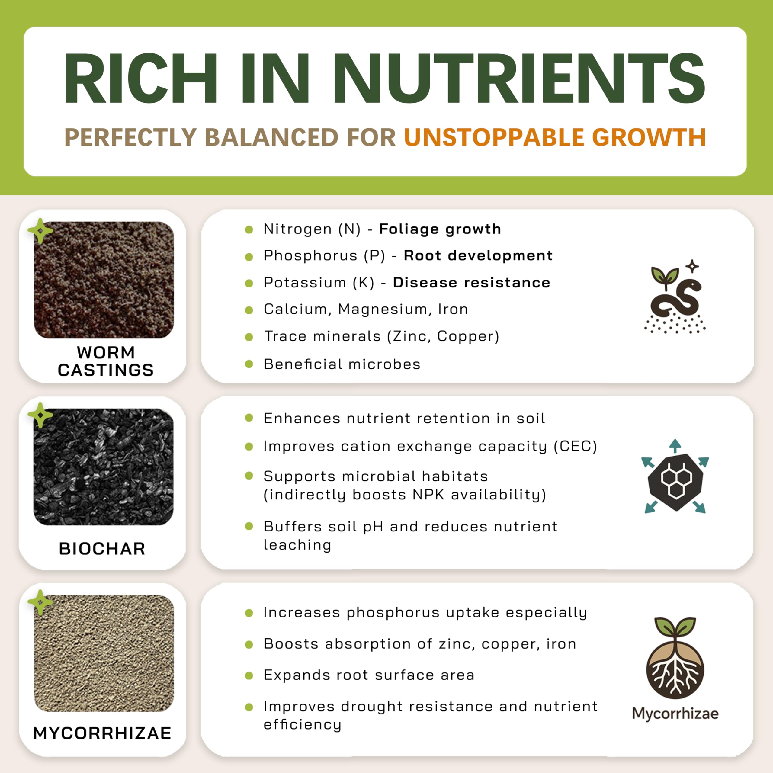 Top Tier Genetics biochar-rich soil supports long-term microbial health