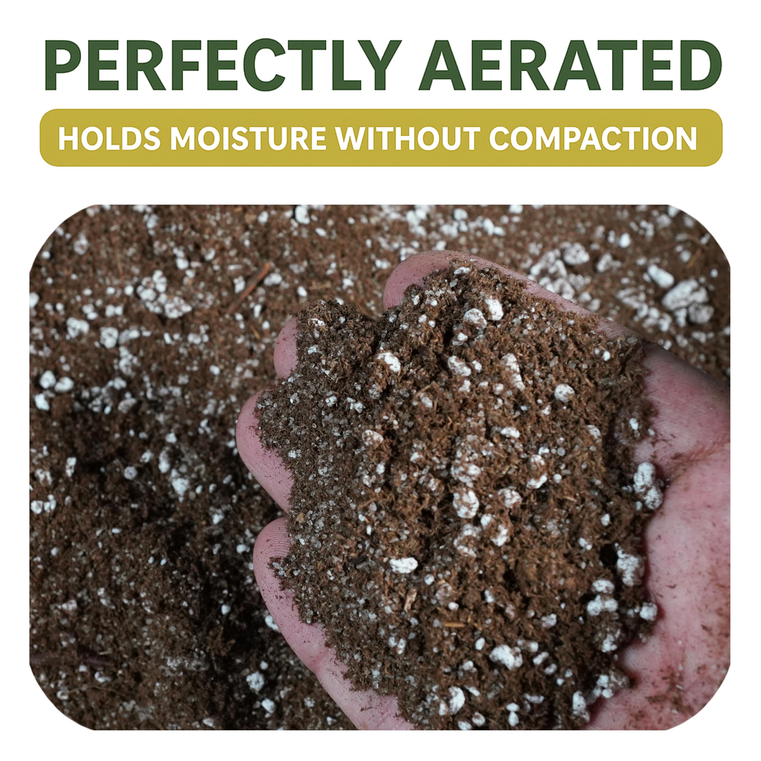 Top Tier Genetics BOG BOSS soil blend packaging highlights 1 qt ready-to-use setup.