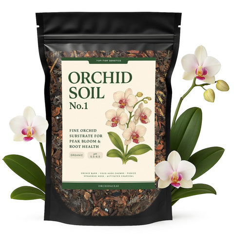 Top Tier Genetics Orchid Soil shows fast-draining blend for healthy orchid roots.