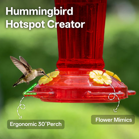 TOP XIAN hummingbird feeder 30-degree base supports natural feeding posture.
