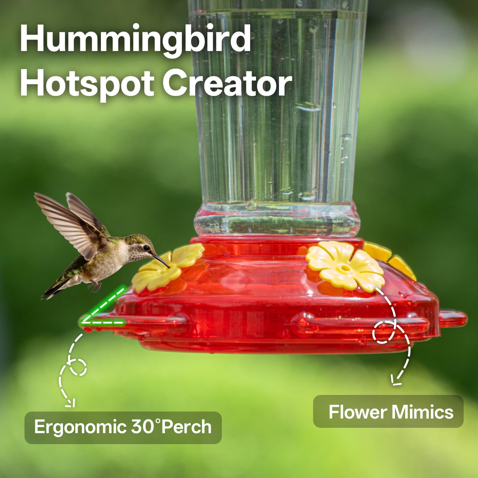 Red base and perches invite multiple hummingbirds at once.