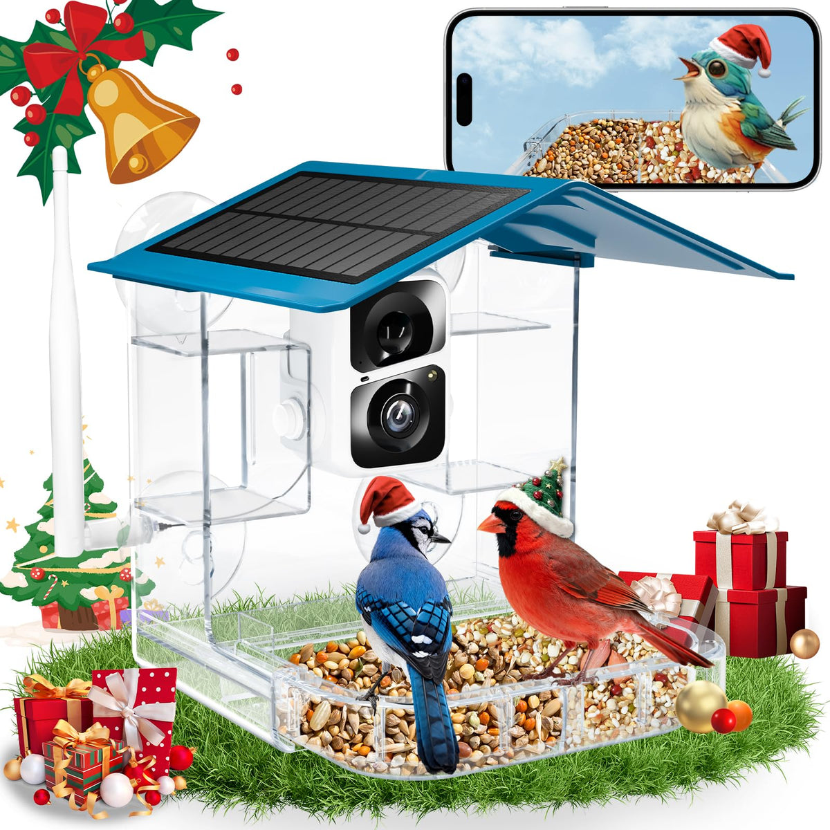 TOP XIAN Smart Bird Feeder Camera with 2K live view captures real-time avian visits