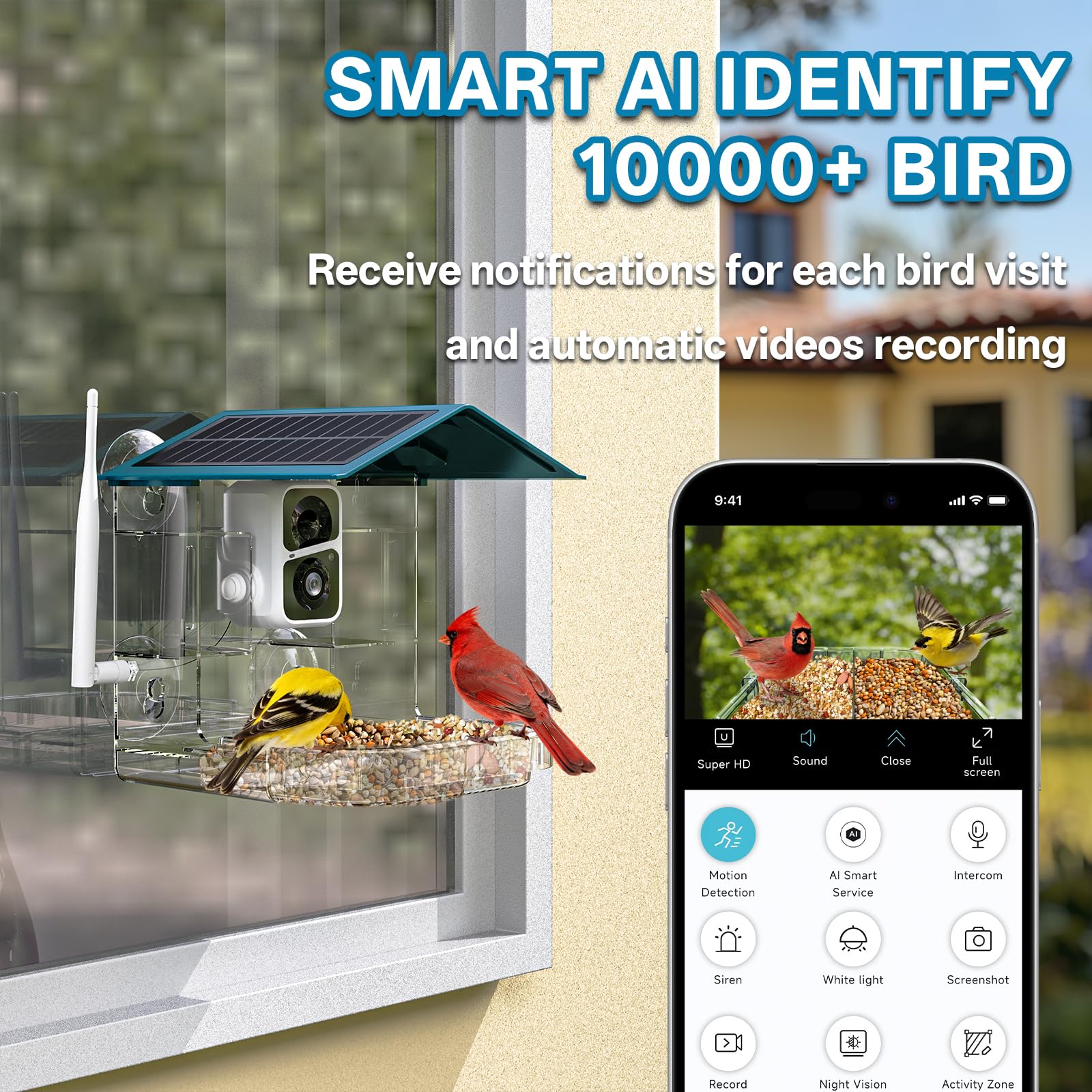 TOP XIAN Bird Feeder Camera motion alerts keep you updated about visiting birds