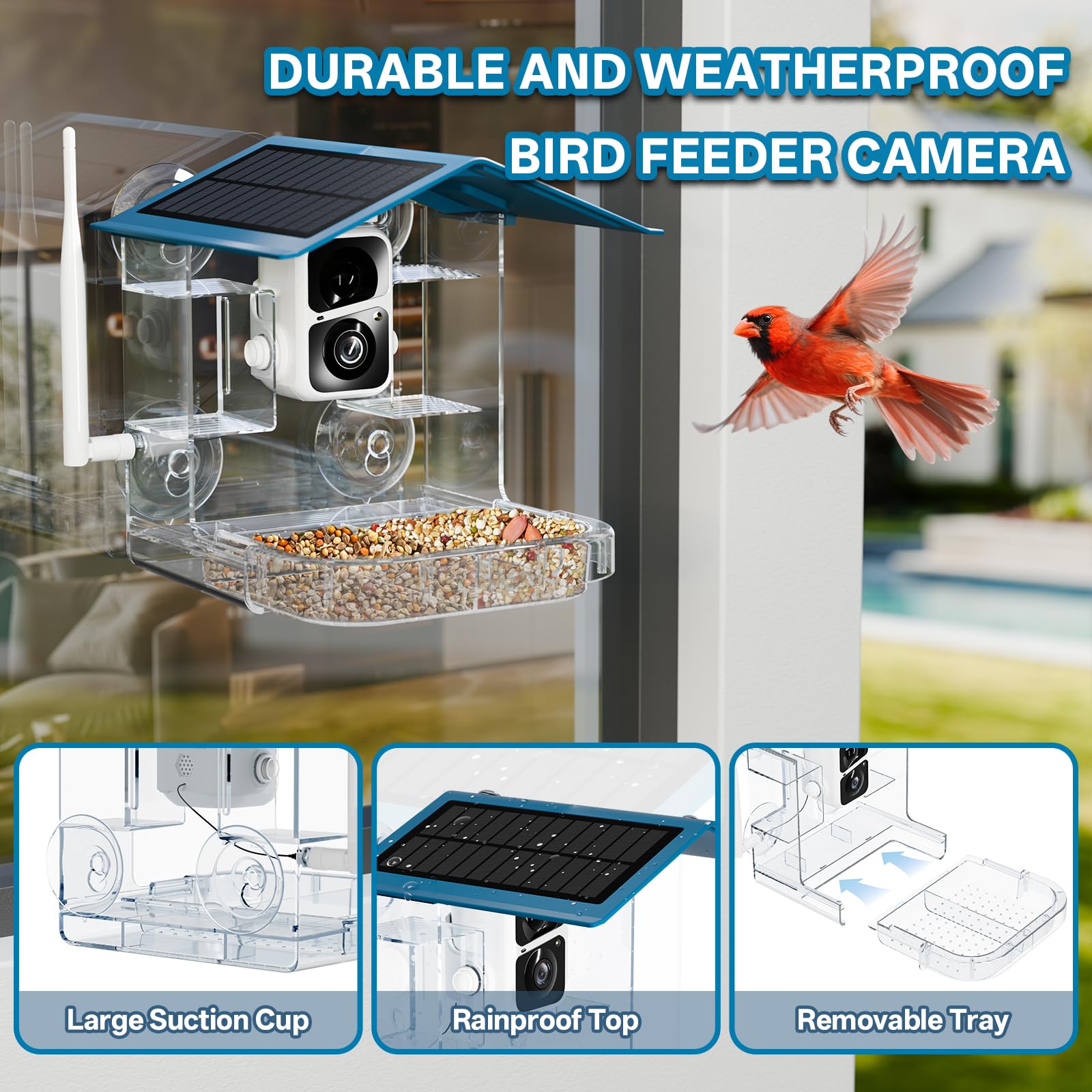 TOP XIAN Feeder Camera detachable tray allows quick cleaning and simple refills