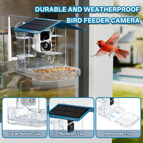 TOP XIAN Feeder Camera detachable tray allows quick cleaning and simple refills