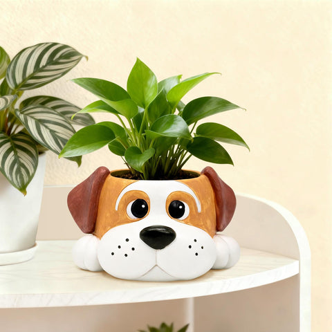 Toparad dog resin planter on living room shelf, charming centerpiece.