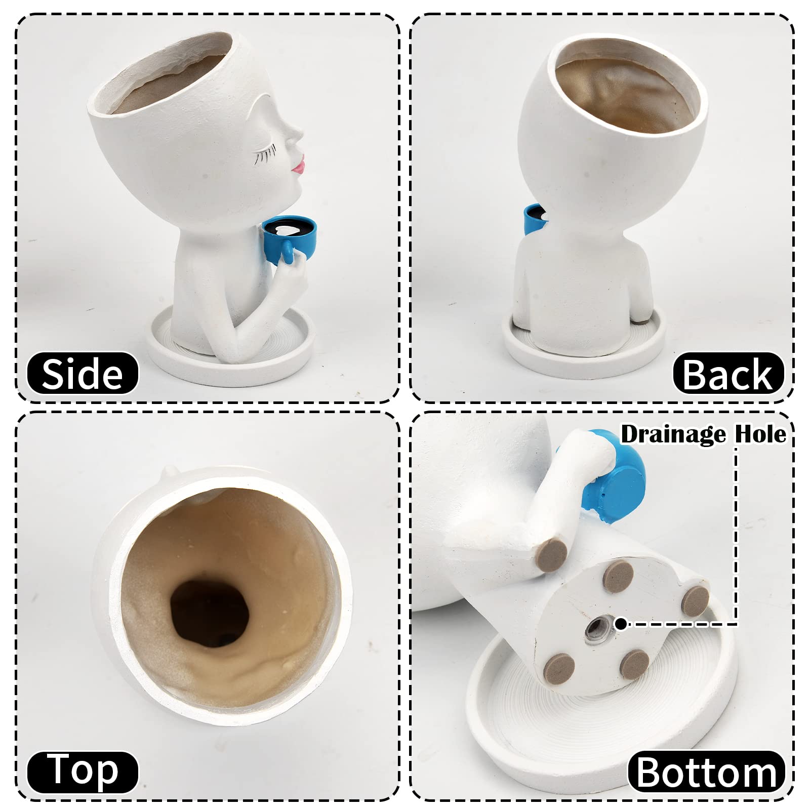 Toparad indoor-outdoor planter suits windowsills, desks, and patios.