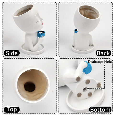 Toparad indoor-outdoor planter suits windowsills, desks, and patios.