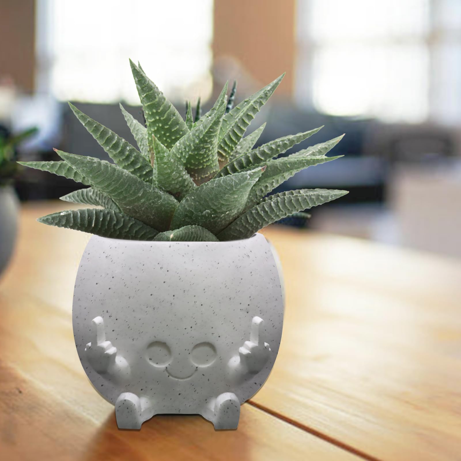 Toparad face planter in resin showcases a quirky face design for shelves.