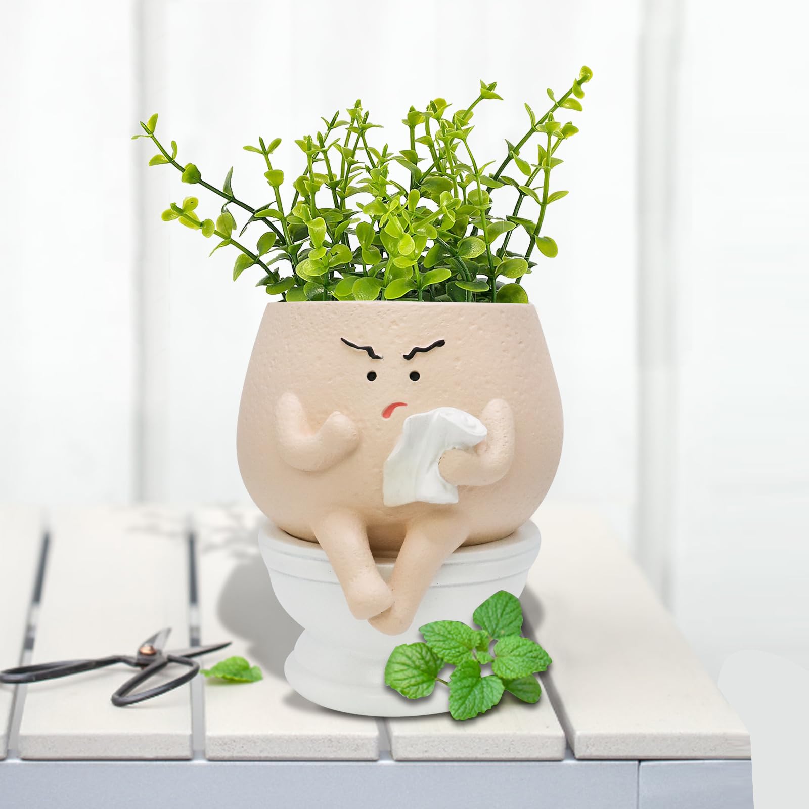 Toparad gift-ready planter for teachers, mothers, and holidays