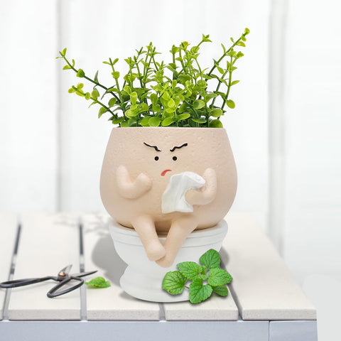 Toparad gift-ready planter for teachers, mothers, and holidays