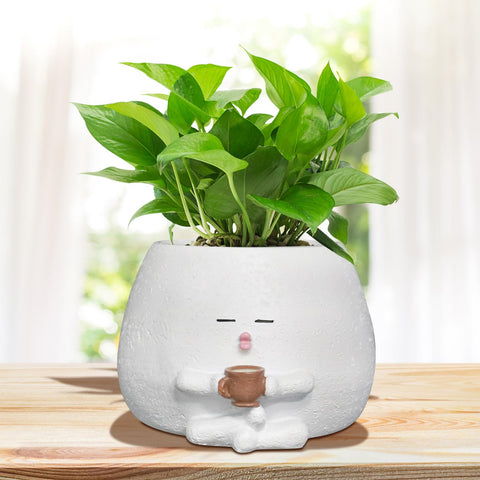 Toparad gift-ready face planter makes a charming present for plant lovers