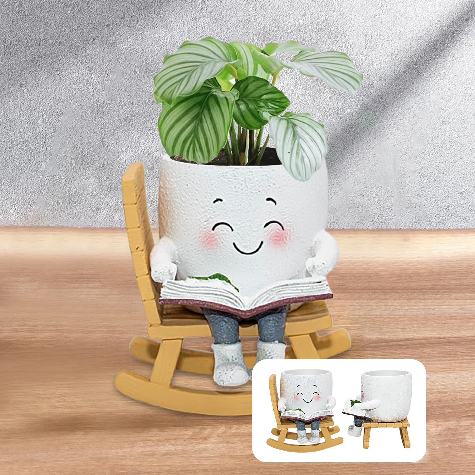 Toparad Indoor Outdoor Planter ready for year-round décor in any space.