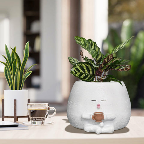 Toparad decorative face planter enhances shelves, desks, and balcony corners