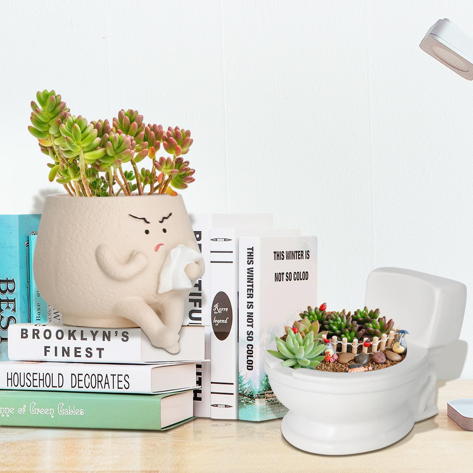 Toparad mini garden pot suitable for indoor or outdoor plants