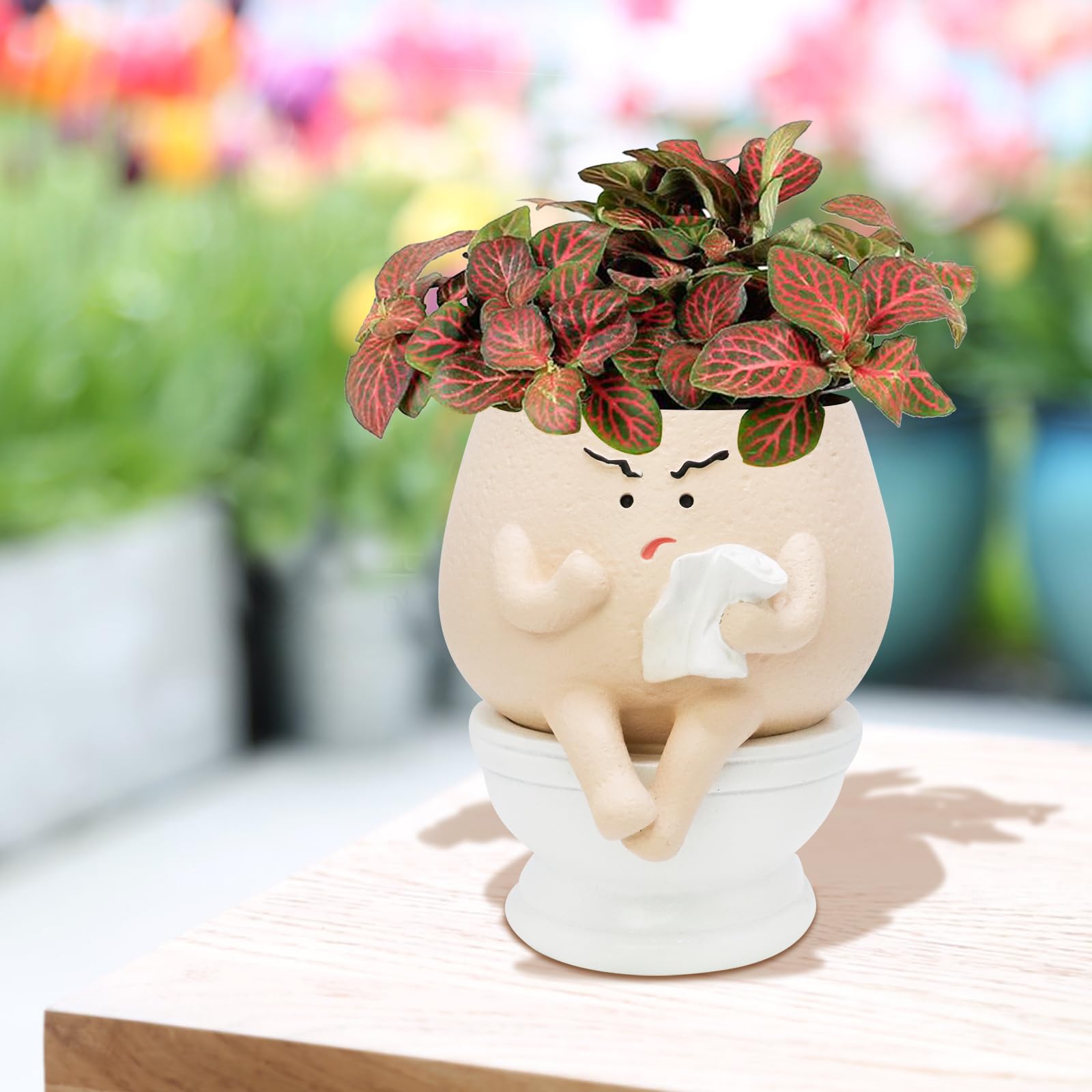 Toparad resin face head plant pot for desks or shelves