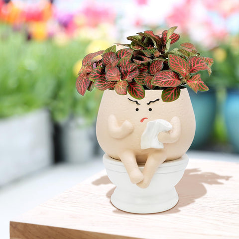 Toparad resin face head plant pot for desks or shelves
