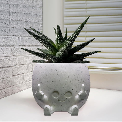 Toparad resin flower planter provides a durable indoor-outdoor accent for succulents.