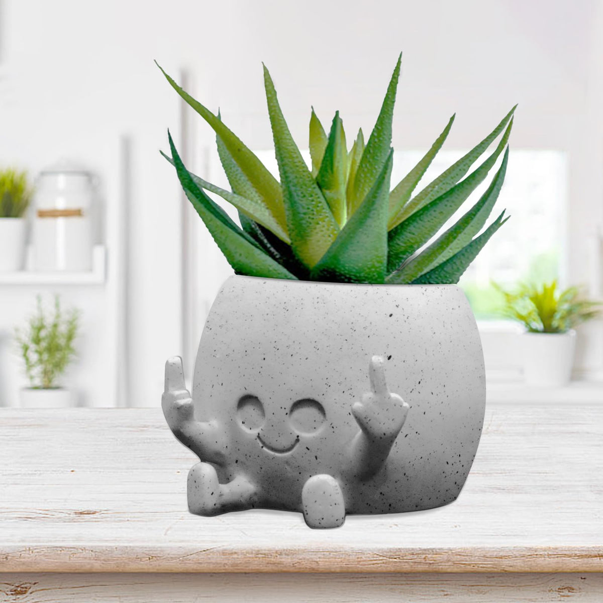 Toparad smiling plant pot with middle fingers up adds playful decor to indoor spaces.
