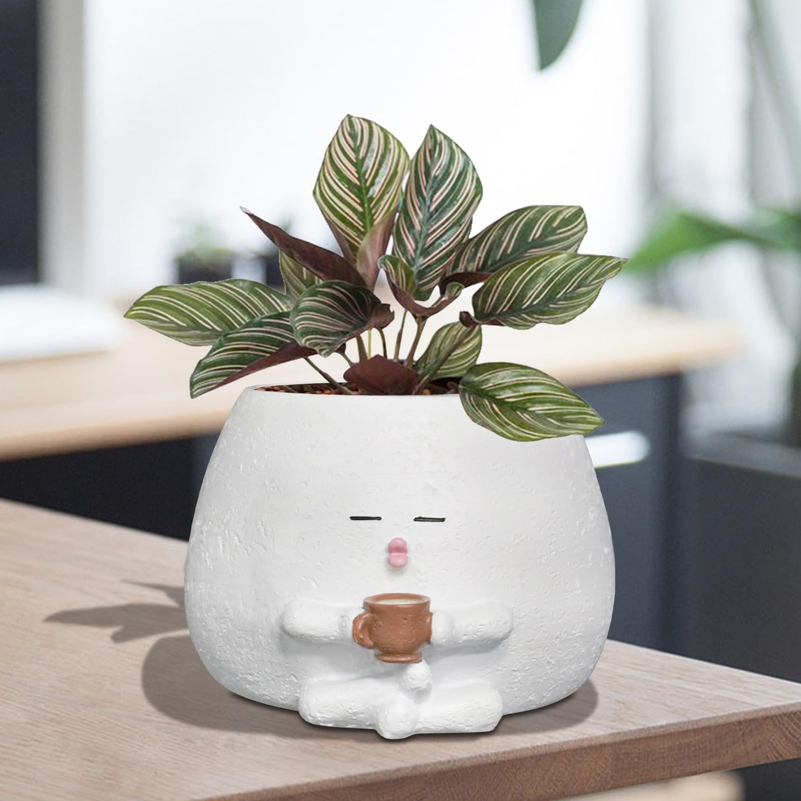 Toparad Smily Face Planter with coffee cup design adds playful charm to indoor spaces
