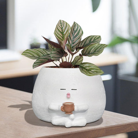 Toparad Smily Face Planter with coffee cup design adds playful charm to indoor spaces