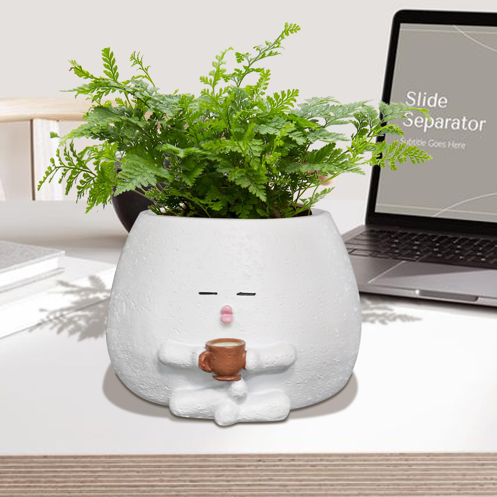 Toparad succulent-friendly face planter pairs well with small succulents