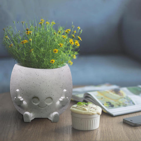 Toparad cute plant pot for succulents boosts small plant display at office or home.
