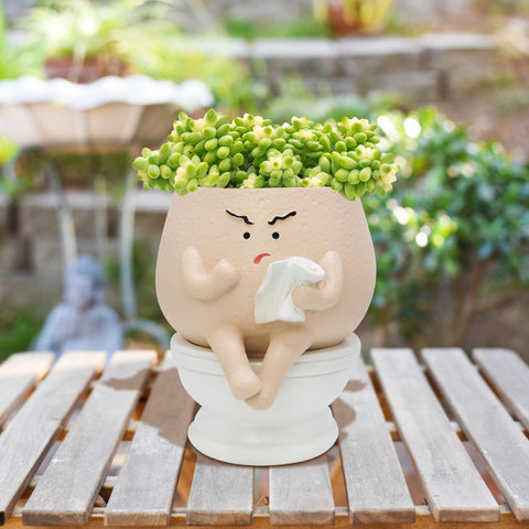 Toparad table or shelf display plant pot with charming character