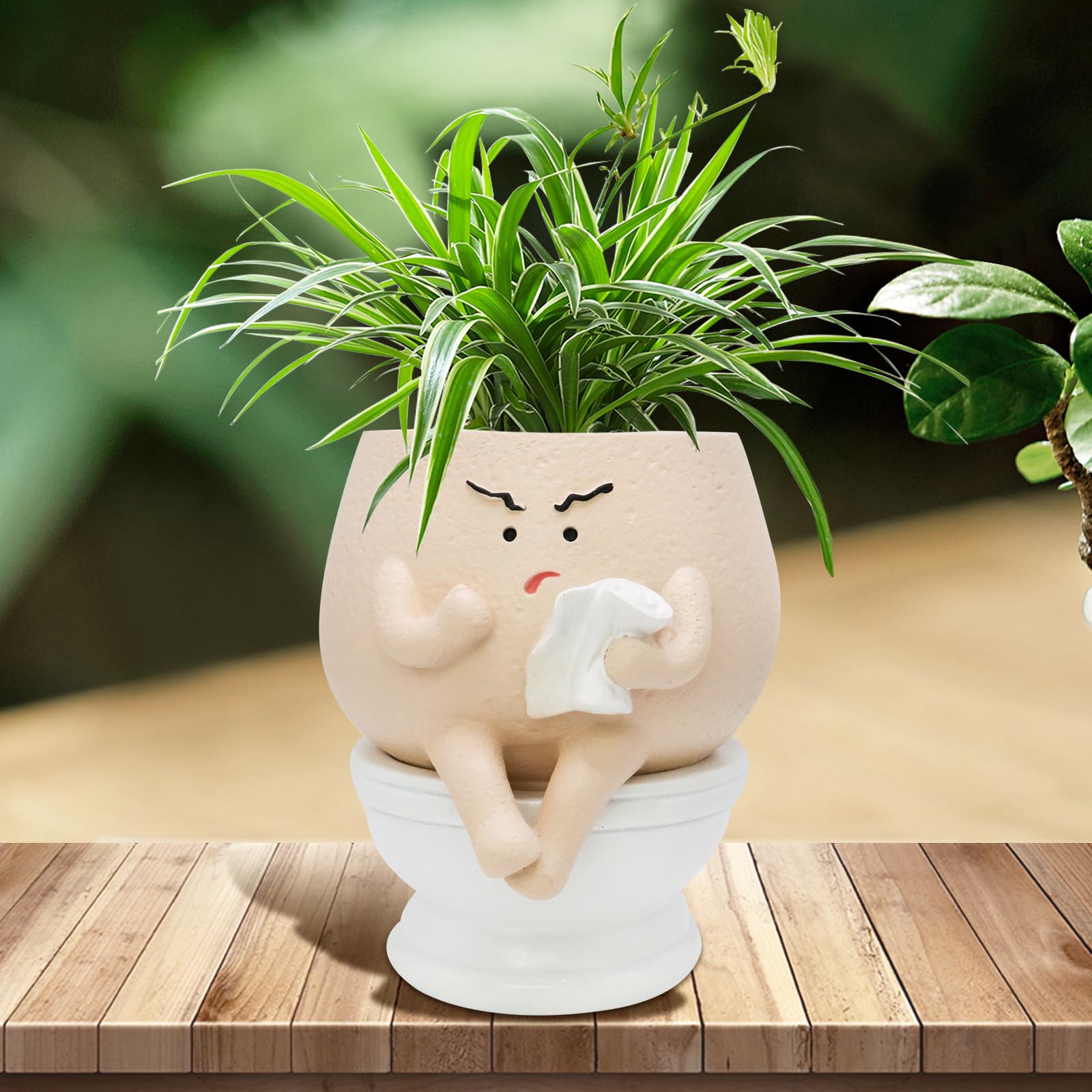 Toparad toilet-face planter with drainage hole for indoor succulent display