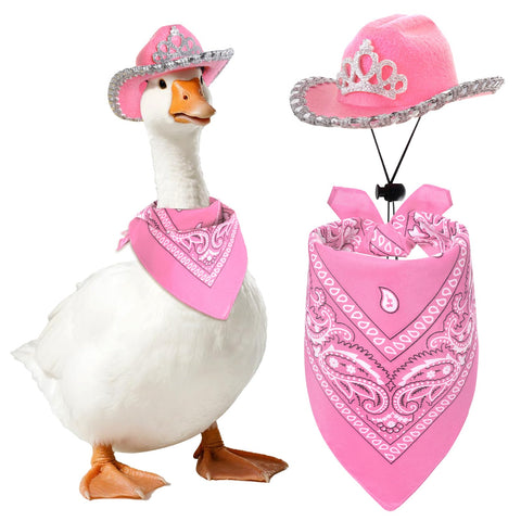 Topbuti western cowgirl porch goose hat on statue adds festive curb appeal.