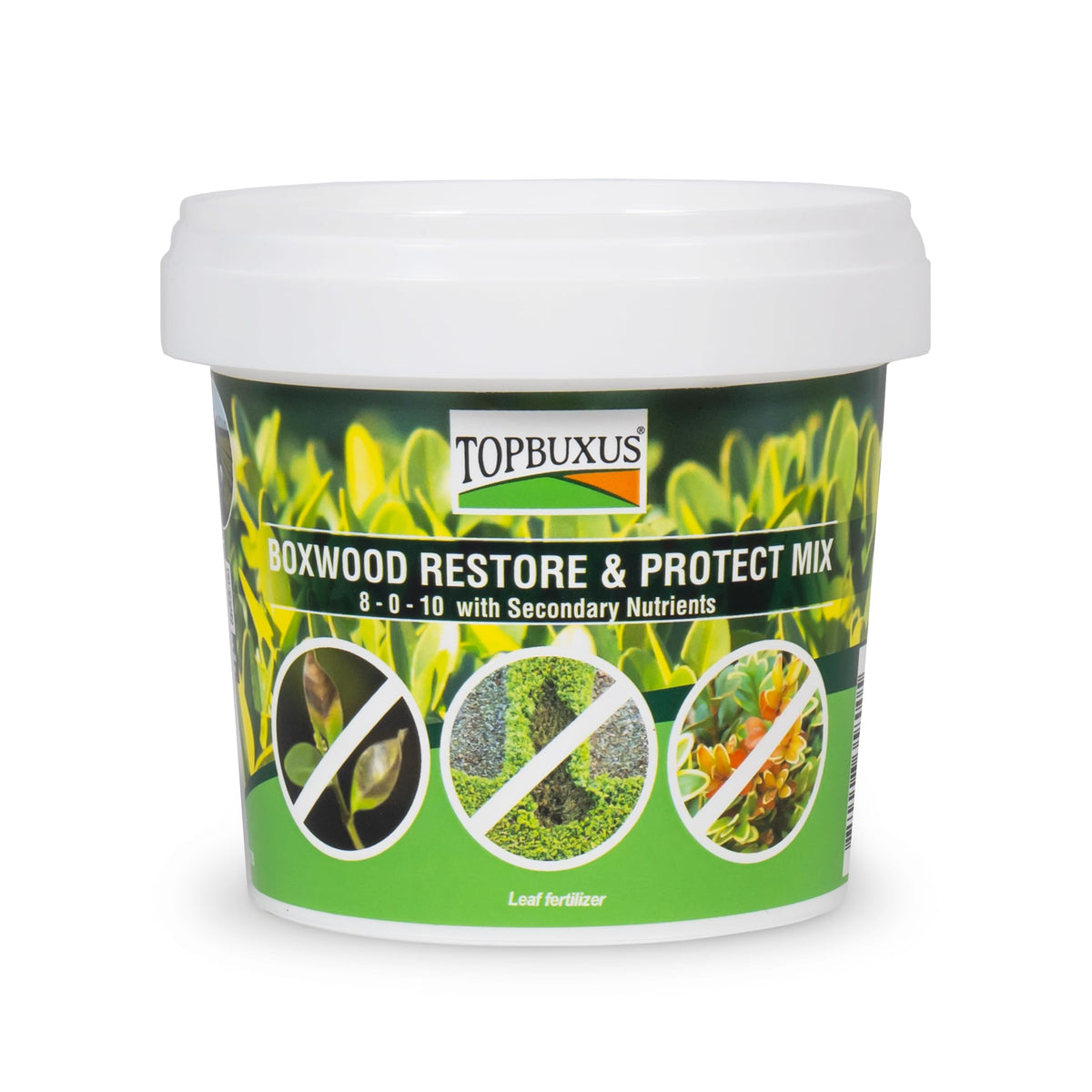 TOPBUXUS Boxwood Restore Protect tablets dissolving in water for easy foliar feeding