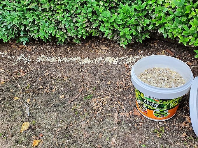 TOPBUXUS Turbo Grow packaging designed for easy storage and use