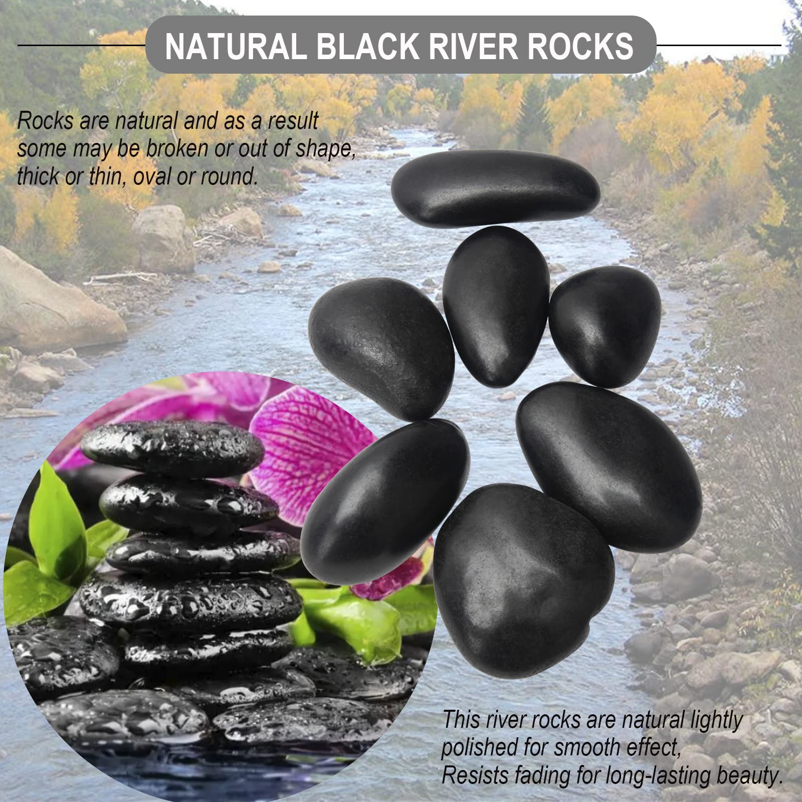 TOPEMAI value-packed 15 pounds for versatile landscape layouts