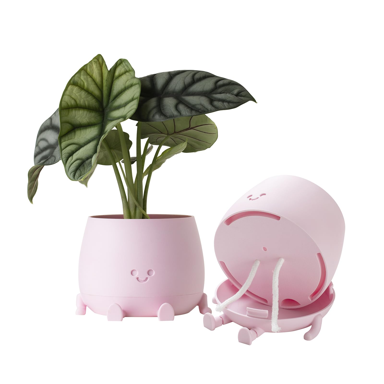 TOPOLA Happy Face Planter close-up showing a cheerful design for bright shelves