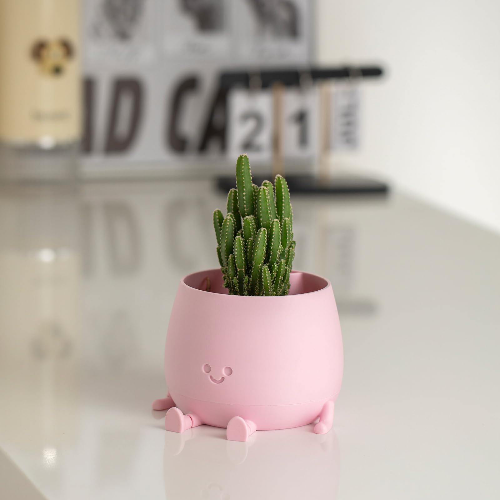 Compact 5.2-inch diameter TOPOLA planter suitable for small plants