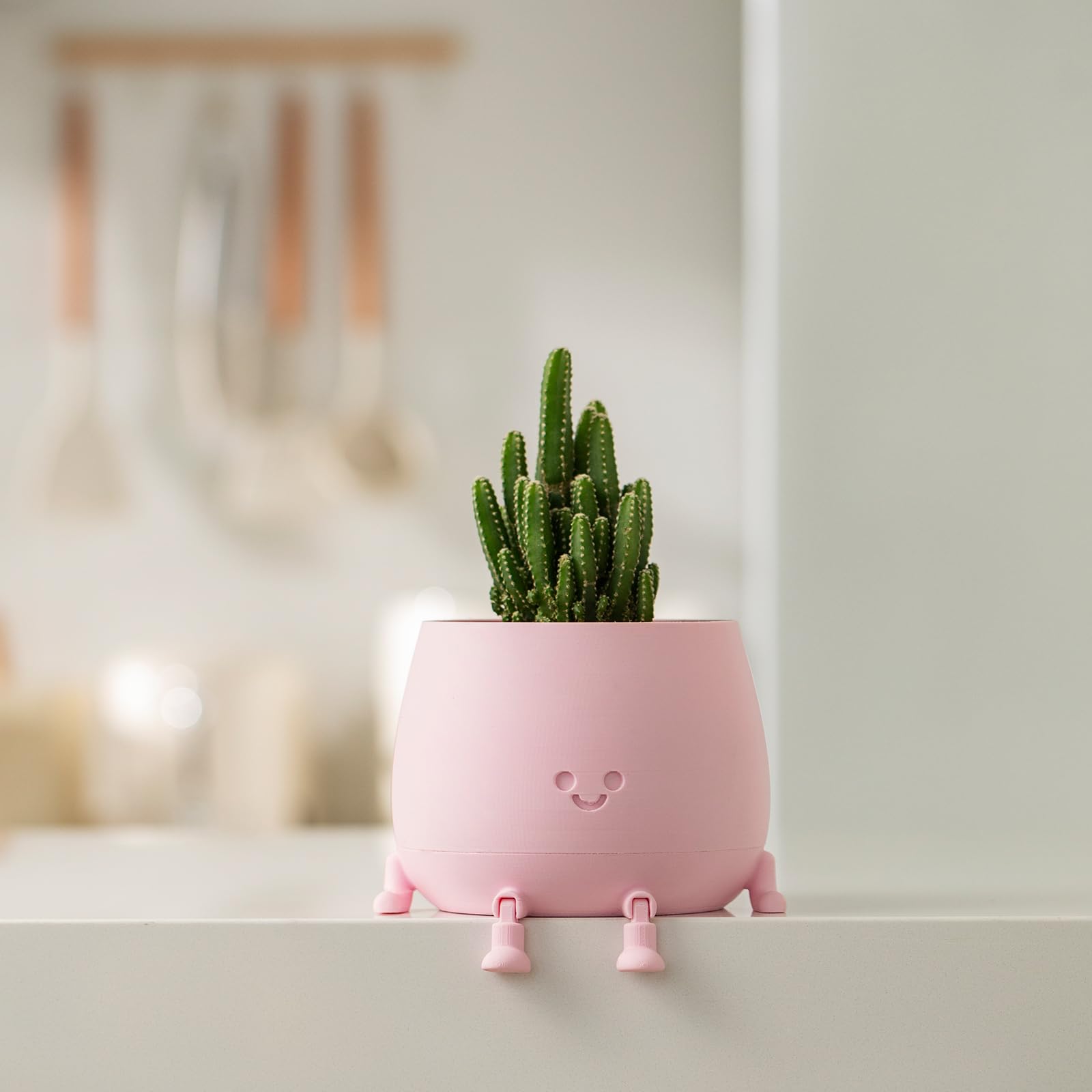 Eco-friendly plastic material used for the TOPOLA Happy Face Planter