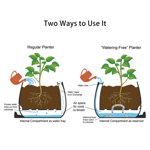 Gift-ready TOPOLA planter perfect for plant lovers and housewarmings