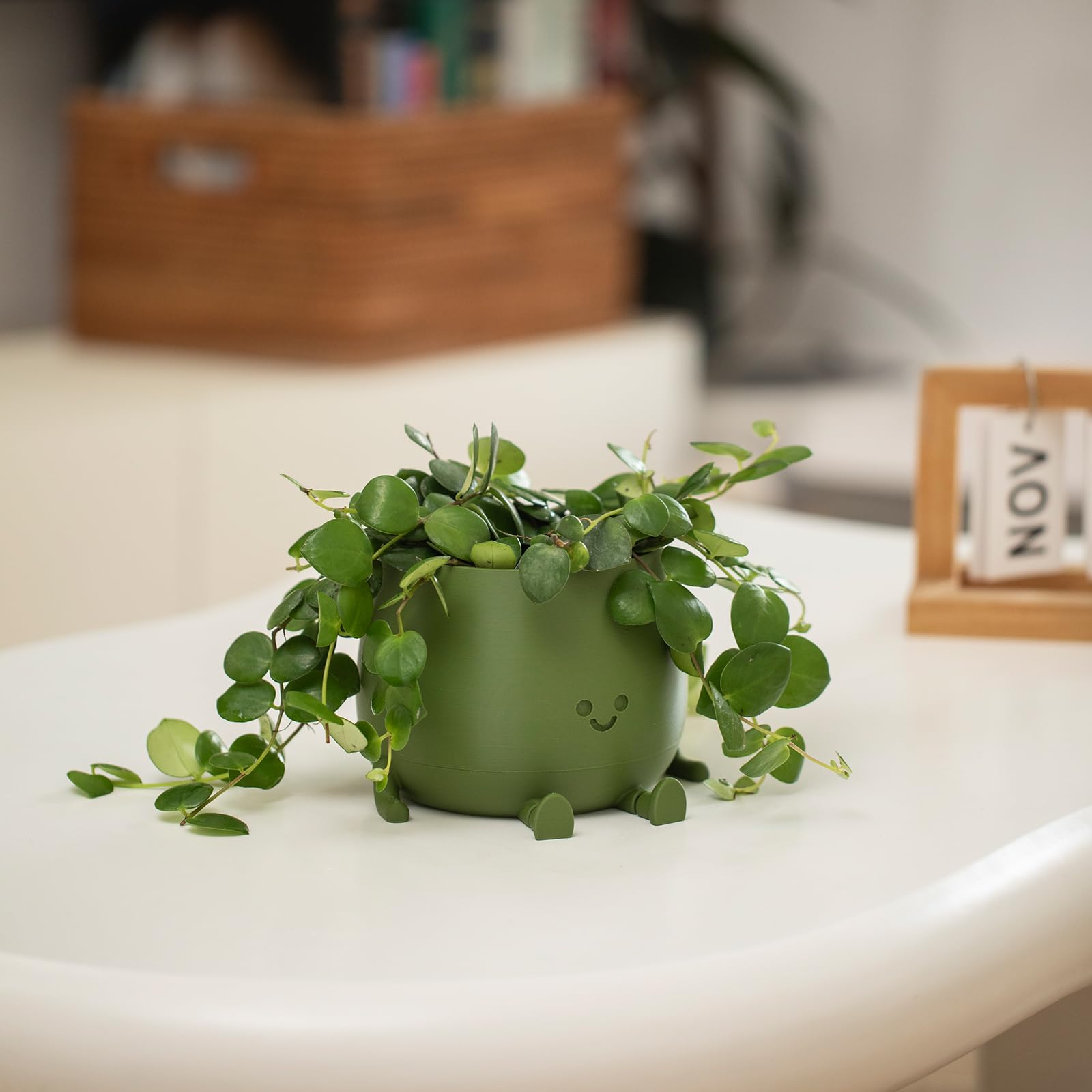TOPOLA Happy Face Planter self-watering system supporting plant hydration