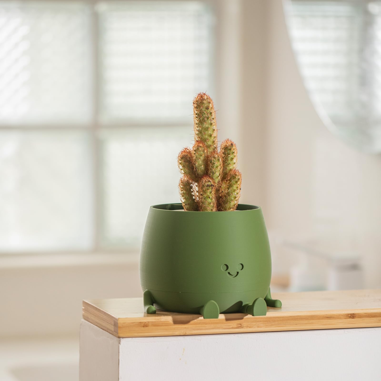 TOPOLA Happy Face Planter fits succulents and small plants perfectly