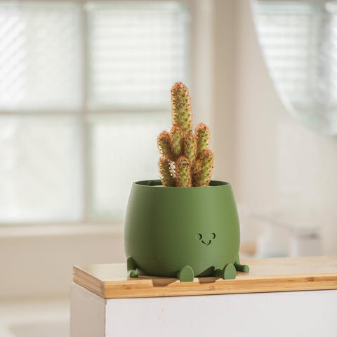 TOPOLA Happy Face Planter fits succulents and small plants perfectly